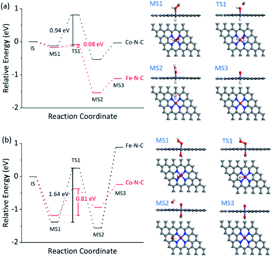 Bound oxygen-atom transfer endows peroxidase-mimic M–N–C with high ...