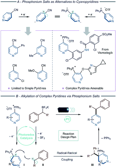 Pyridylphosphonium Salts As Alternatives To Cyanopyridines In Radical Radical Coupling Reactions Chemical Science Rsc Publishing