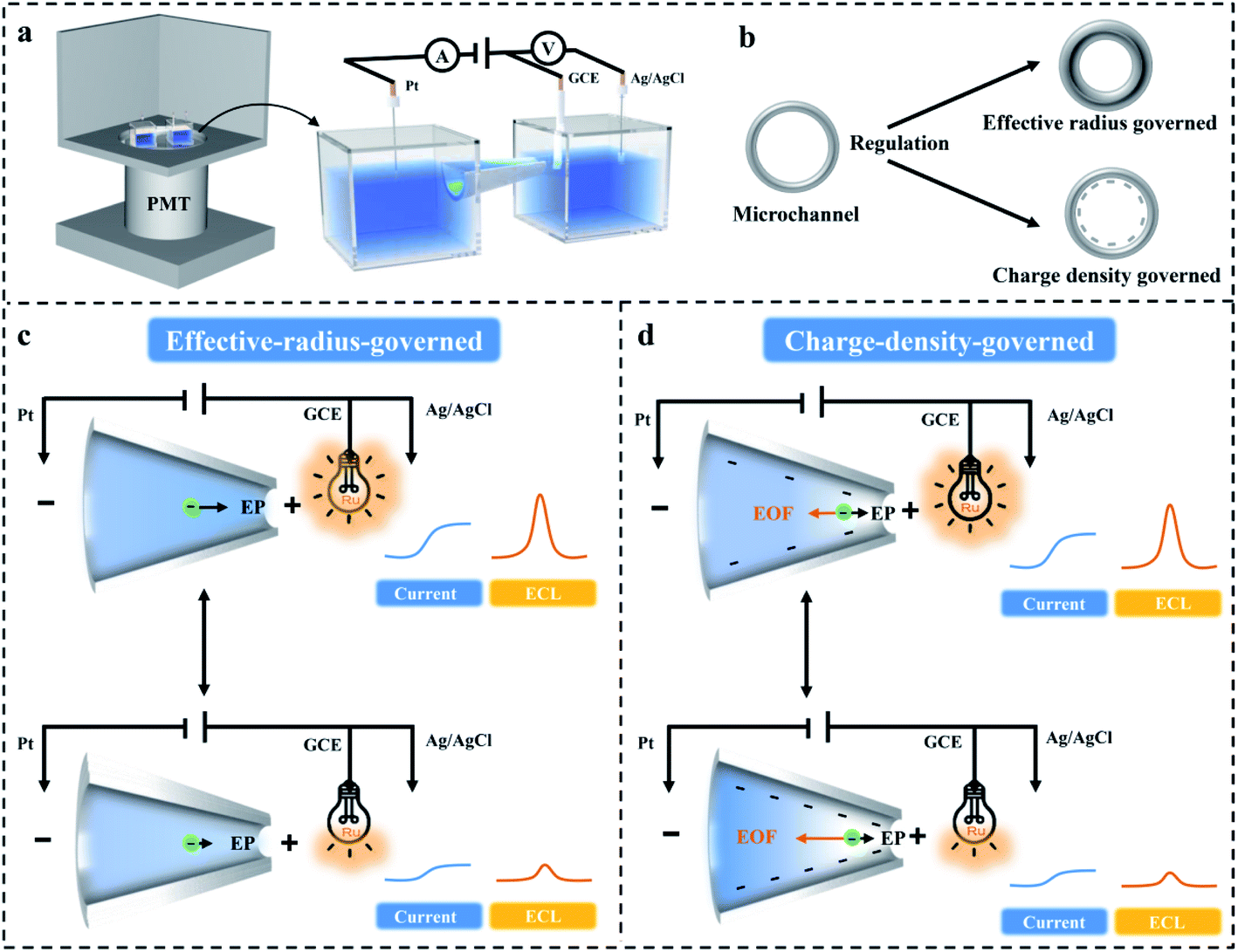 Design of an electrochemiluminescence detection system through the