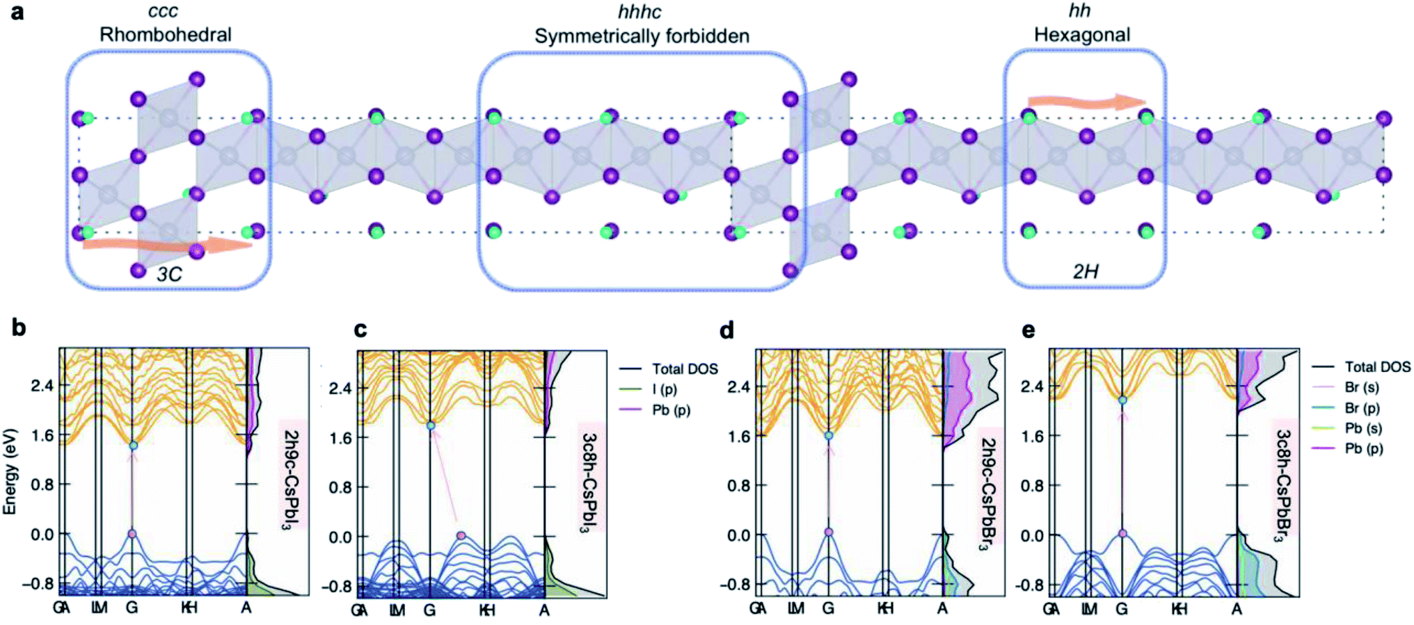 Evolutionary exploration of polytypism in lead halide perovskites ...