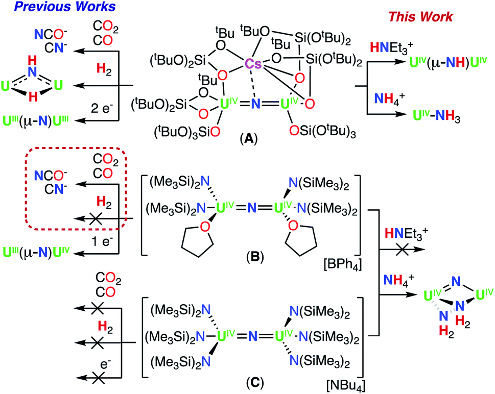 Nitride protonation and NH 3 binding versus NH bond cleavage in
