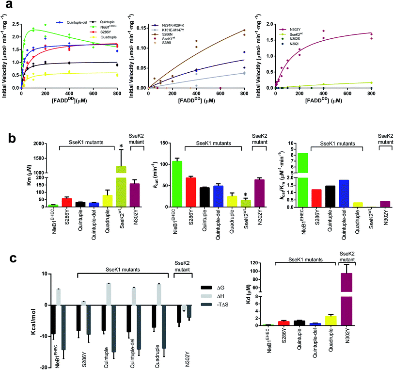 NleB/SseK-catalyzed Arginine-glycosylation And Enteropathogen Virulence ...