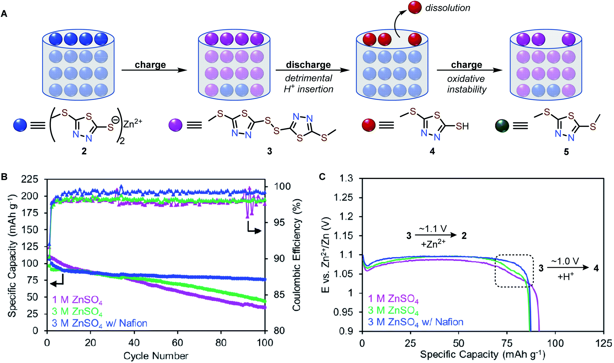 Redoxactive zinc thiolates for lowcost aqueous rechargeable Znion