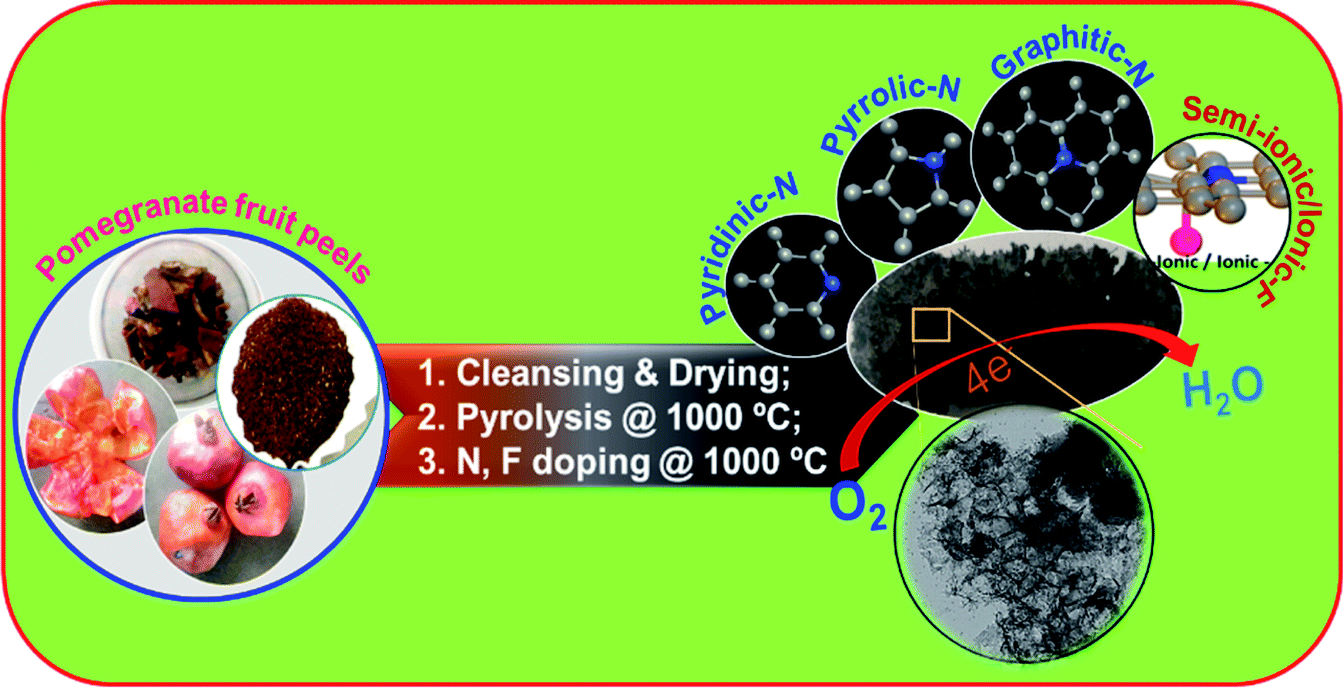 Rationally Constructing Nitrogen Fluorine Heteroatoms On Porous Carbon Derived From Pomegranate Fruit Peel Waste Towards An Efficient Oxygen Reduction Catalyst For Polymer Electrolyte Membrane Fuel Cells Sustainable Energy Fuels Rsc Publishing