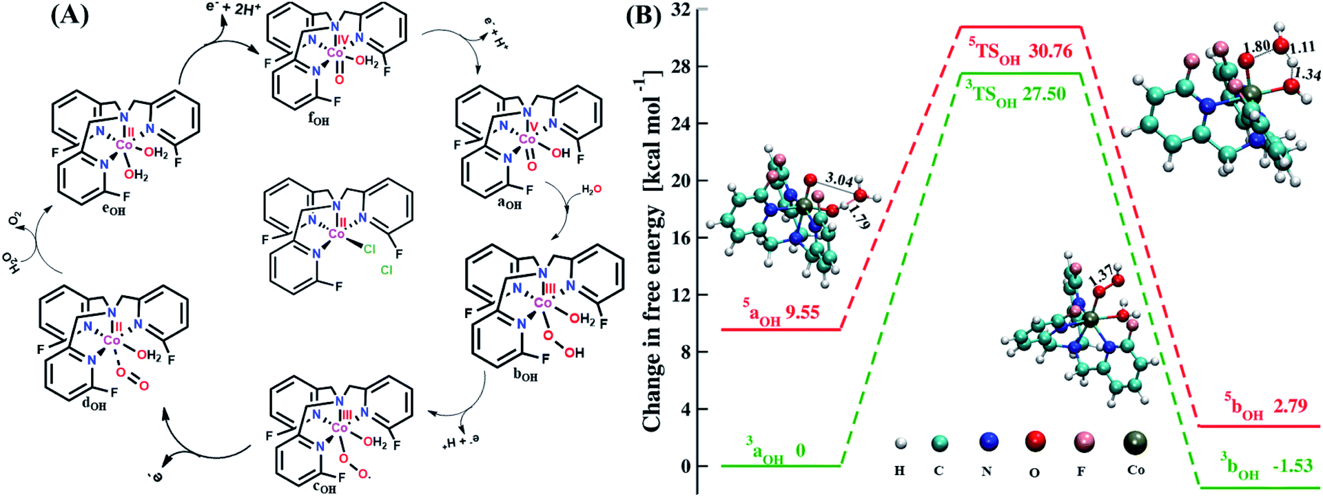 Understanding The Role Of Fluorination In The Mechanistic Nature Of The Water Splitting Process Catalyzed By Cobalt Tris 2 Pyridylmethyl Amine Complexes Sustainable Energy Fuels Rsc Publishing