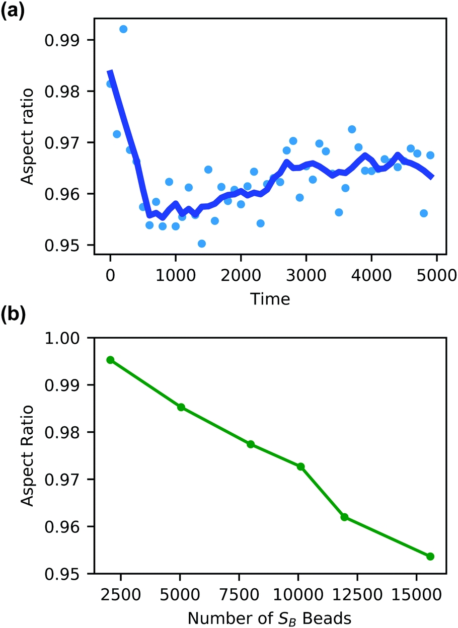 Using Reactive Dissipative Particle Dynamics To Understand Local Shape Manipulation Of Polymer Vesicles Soft Matter Rsc Publishing