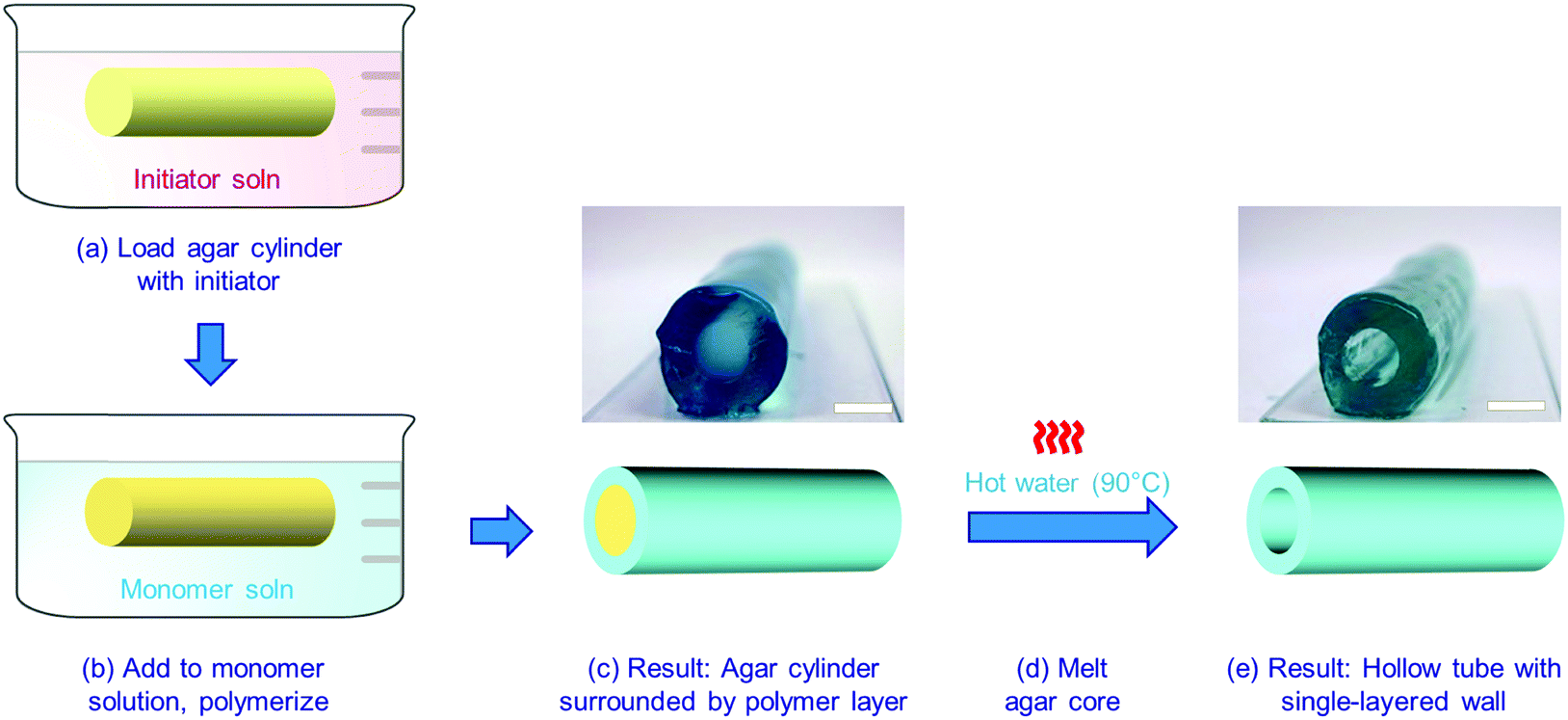 Multilayer Tubes That Constrict Dilate And Curl In Response To Stimuli Soft Matter Rsc Publishing