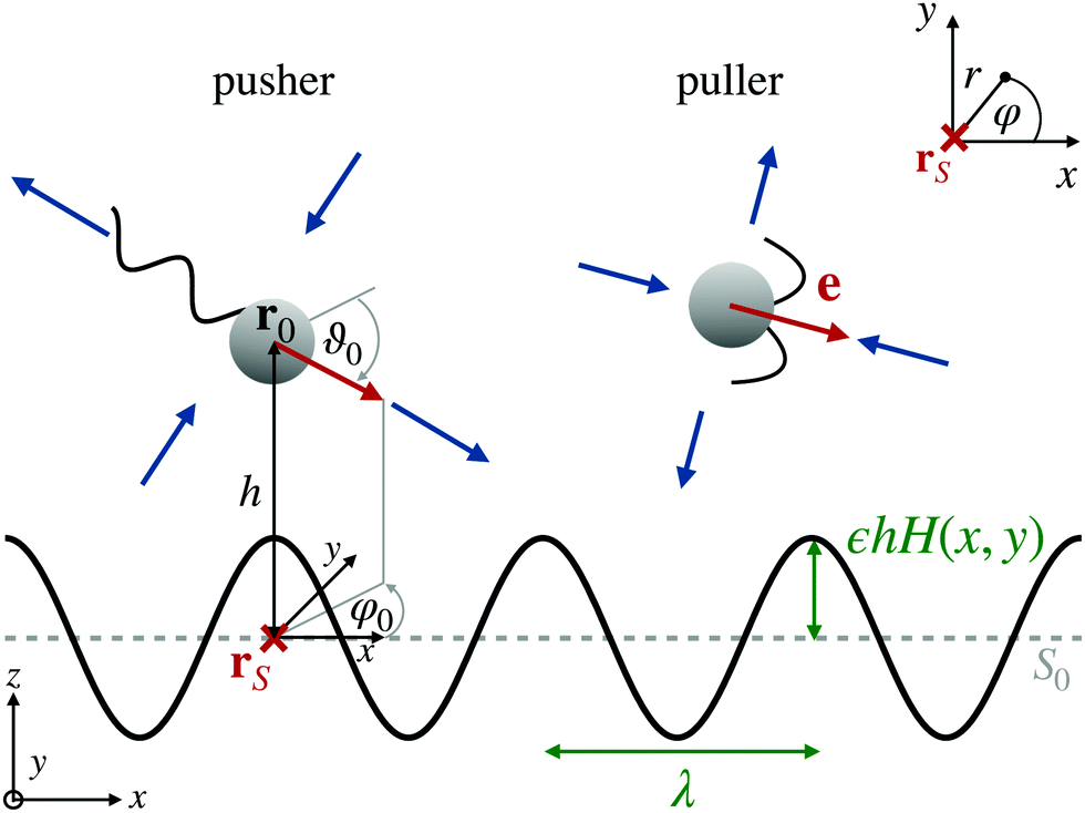 Microswimmers Near Corrugated Periodic Surfaces Soft Matter Rsc Publishing