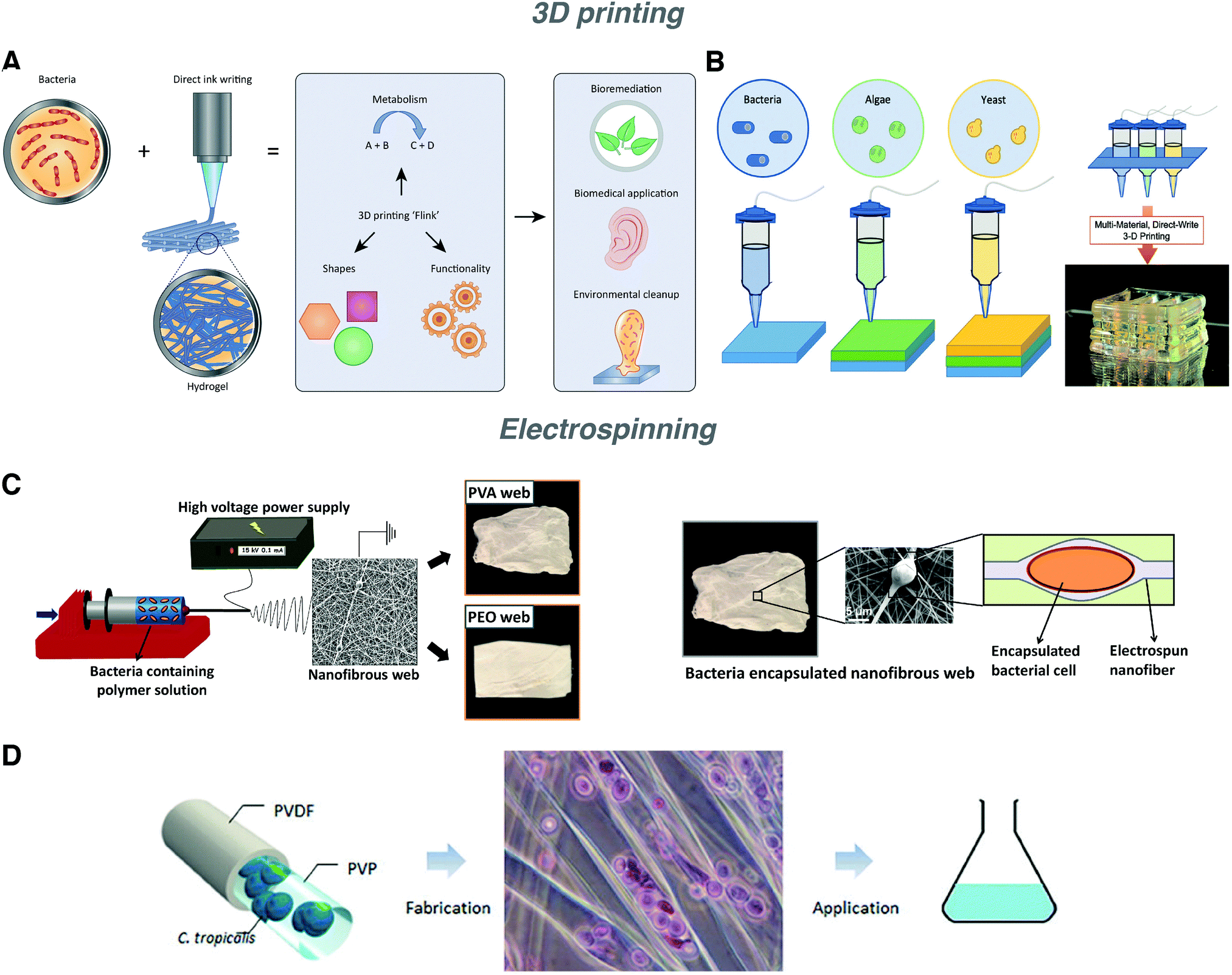 Stimuli Responsive Engineered Living Materials Soft Matter Rsc Publishing