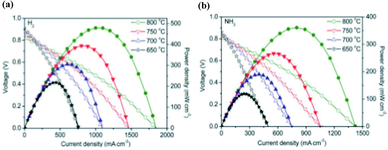 Recent progress in ammonia fuel cells and their potential applications
