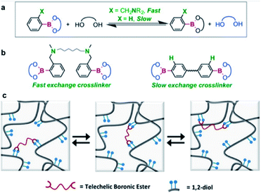 Recent Progress In Self-healing Polymers And Hydrogels Based On ...