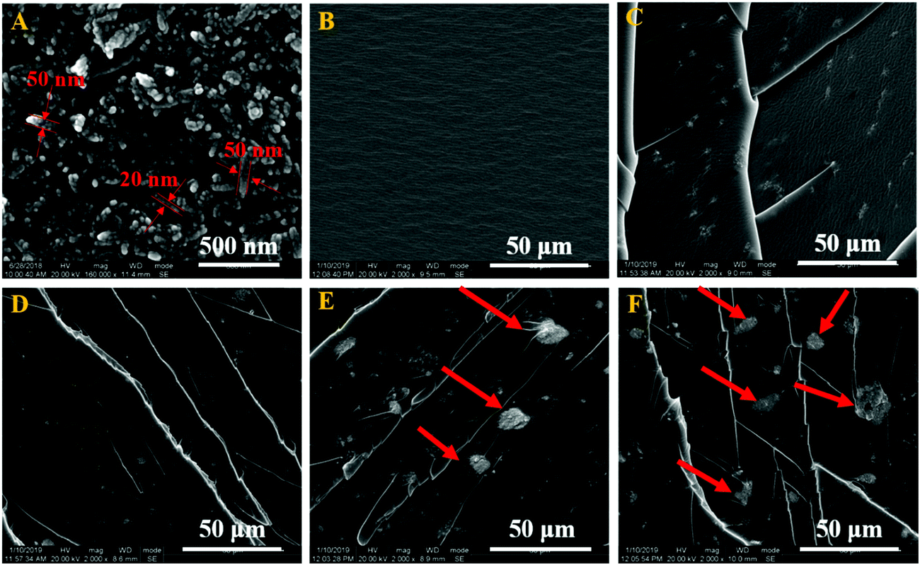 3d Printing Of Robust And Biocompatible Poly Ethylene Glycol Diacrylate Nano Hydroxyapatite Composites Via Continuous Liquid Interface Production Journal Of Materials Chemistry B Rsc Publishing