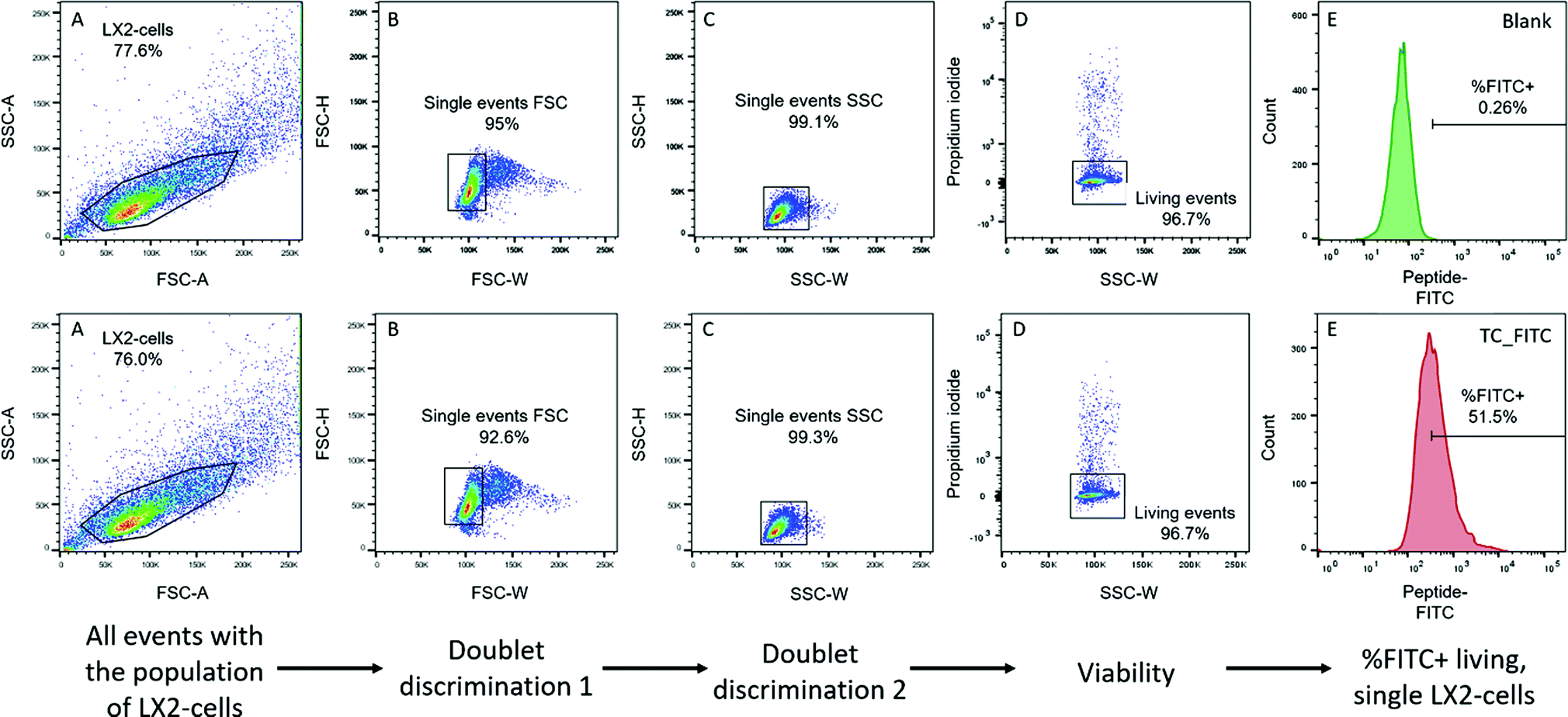 Targeting Transdifferentiated Hepatic Stellate Cells And Monitoring The 