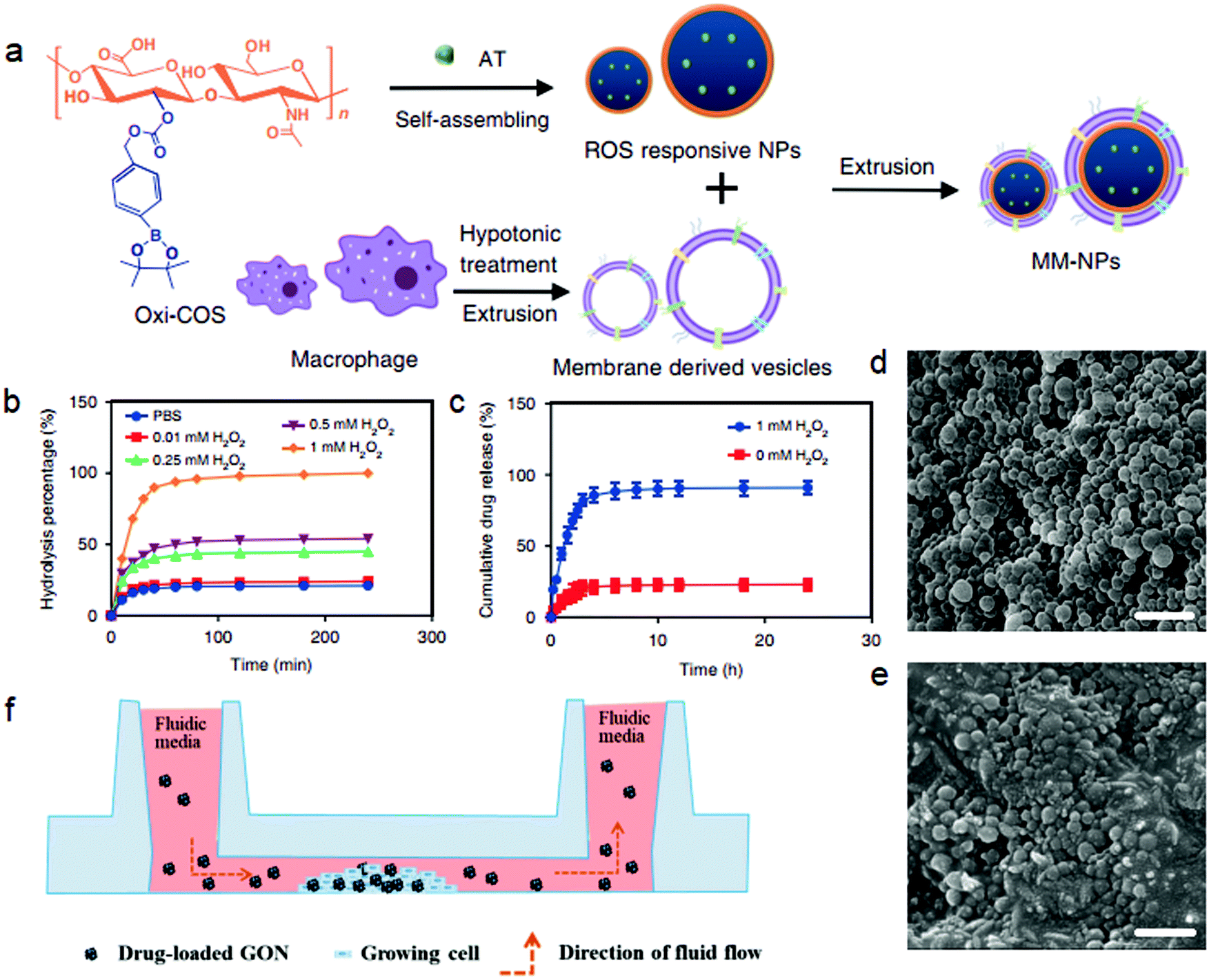 Engineered Bioresponsive Nanotherapeutics Recent Advances In The Treatment Of Atherosclerosis And Ischemic Related Disease Journal Of Materials Chemistry B Rsc Publishing