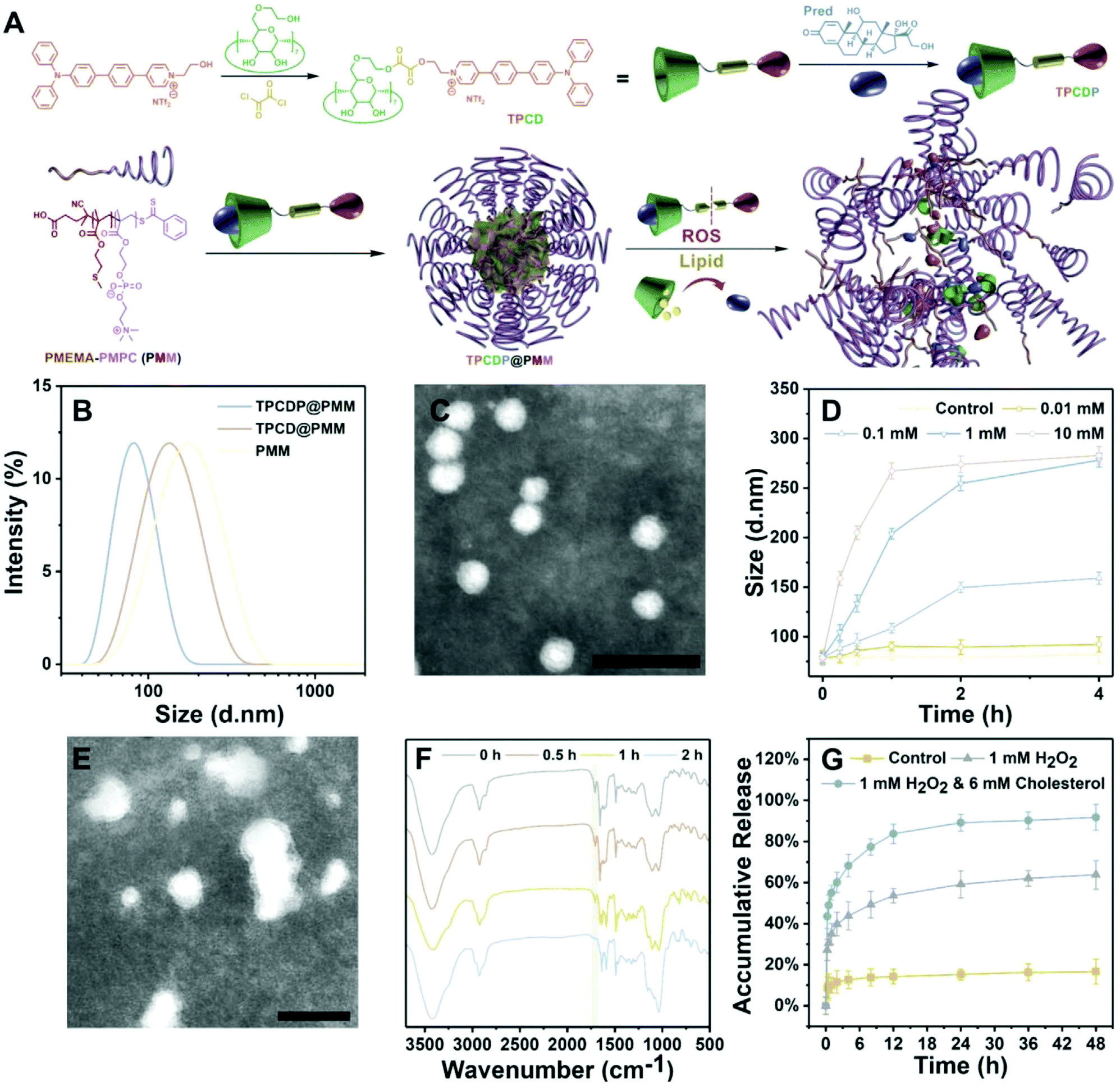 Engineered Bioresponsive Nanotherapeutics Recent Advances In The Treatment Of Atherosclerosis And Ischemic Related Disease Journal Of Materials Chemistry B Rsc Publishing