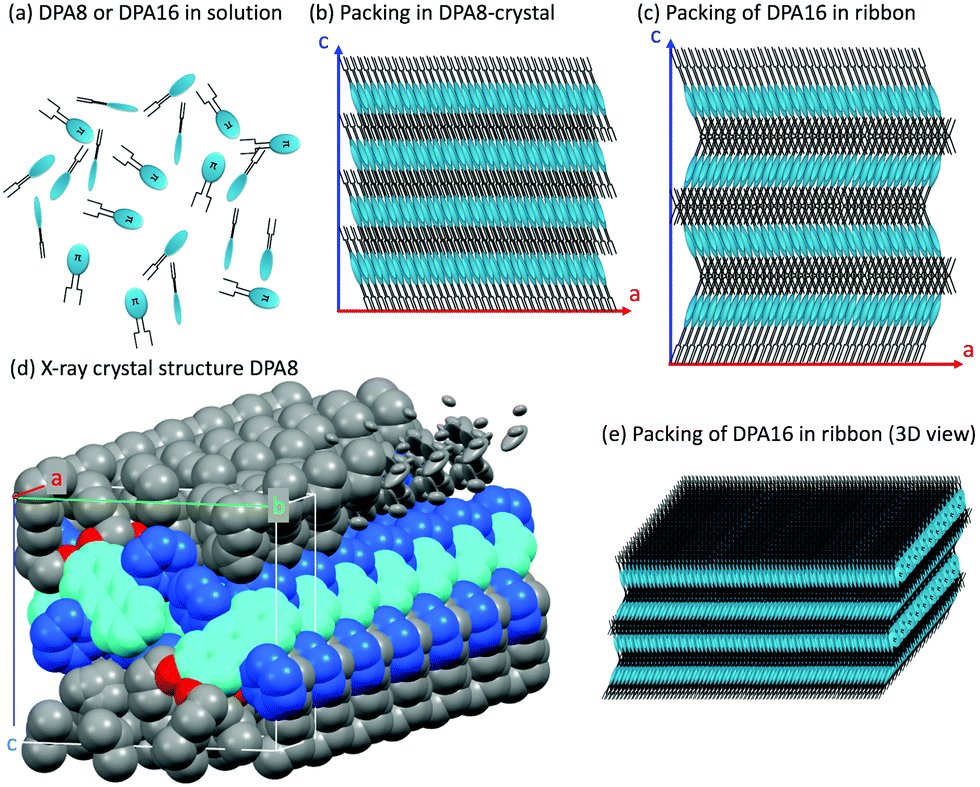 Oriented Attachment And Activated Dipoles Leading To Anisotropic H Bond Free Self Assembly Of N Acene Derivatives Into Organic Nanoribbons Emitting Linearly Polarised Blue Light Journal Of Materials Chemistry C Rsc Publishing