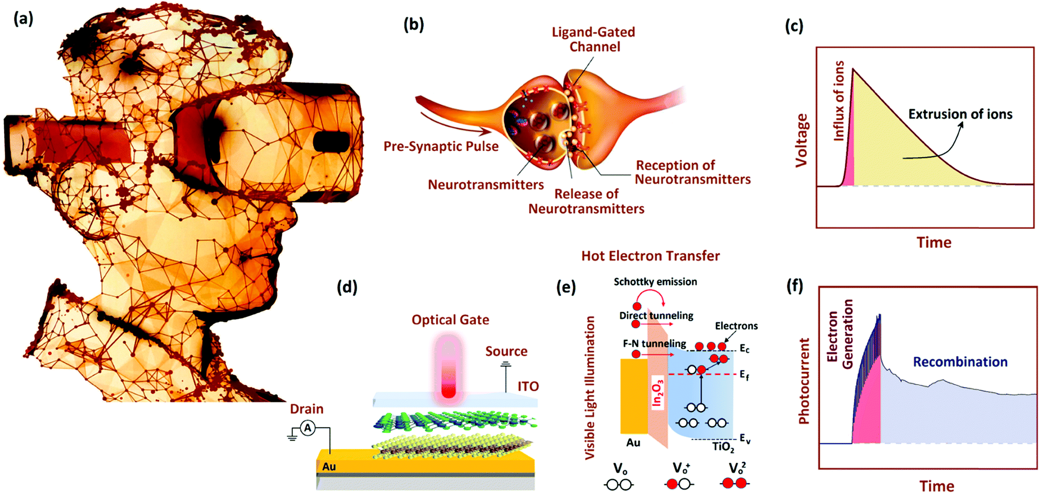 Heterostructured Plasmonic Memristors With Tunable Opto Synaptic Functionalities Journal Of Materials Chemistry C Rsc Publishing