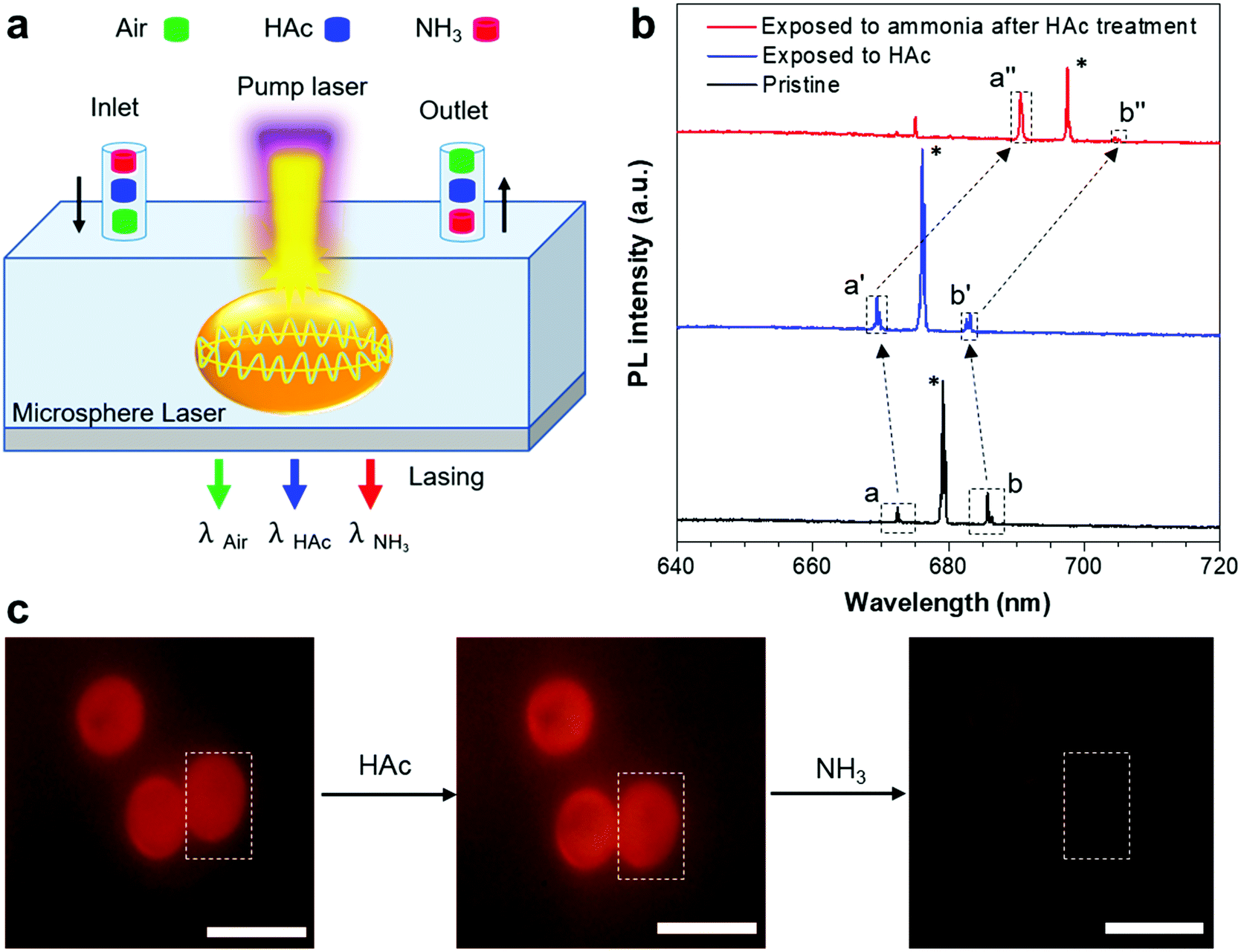 A switchable multimode microlaser based on an AIE microsphere - Journal ...