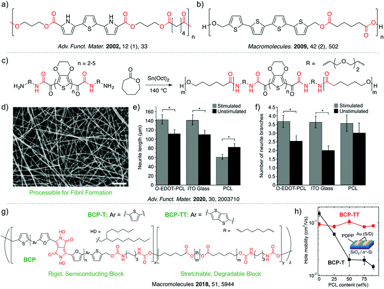 Design Of Biodegradable And Biocompatible Conjugated Polymers For ...