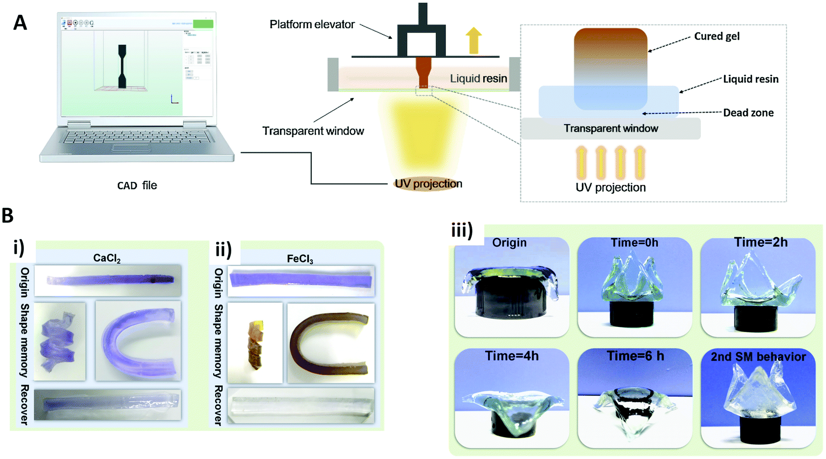 Gel Printing with Vega Brennan