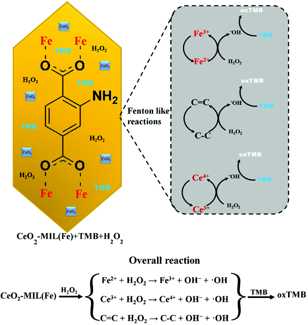 h20 zu h2o2 Mechanismus