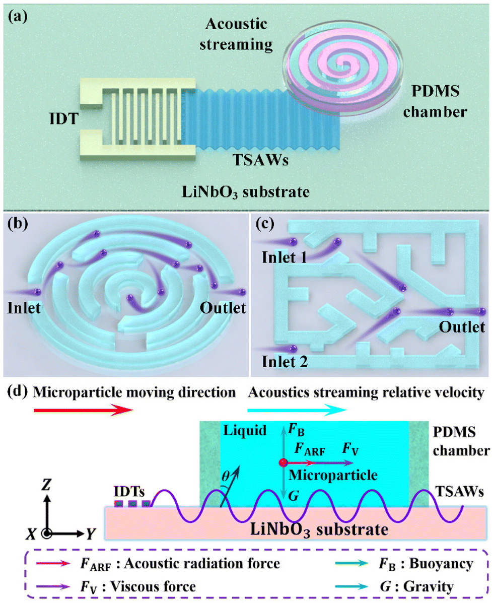 High-throughput and directed microparticle manipulation in complex-shaped maze chambers based on travelling surface acoustic waves