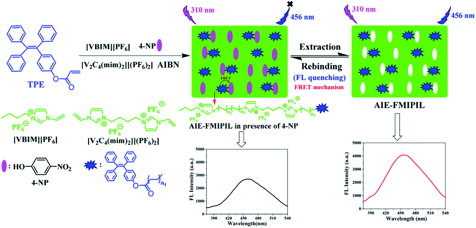 Aggregation-induced emission monomer-based fluorescent Aggregation-induced emission monomer-based fluorescent