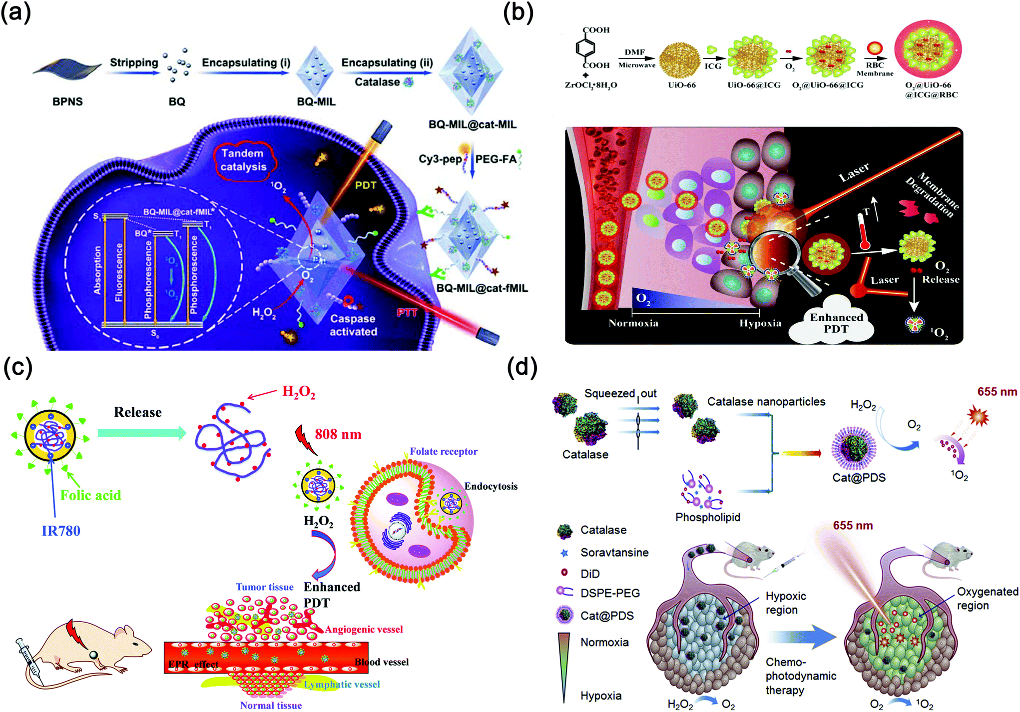 Recent advances in in situ oxygen-generating and oxygen