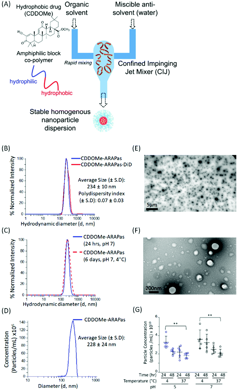 Antioxidant Response Activating nanoParticles (ARAPas) localize to 