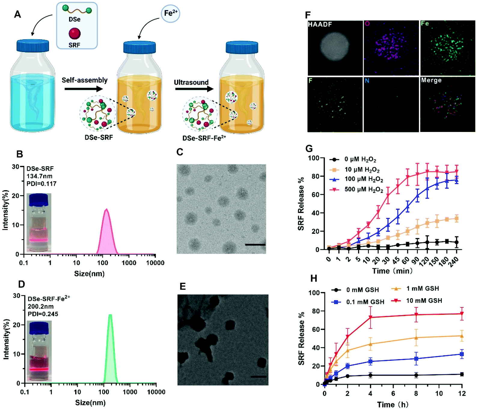 A biomimetic nanodrug self-assembled from small molecules for enhanced ferroptosis therapy