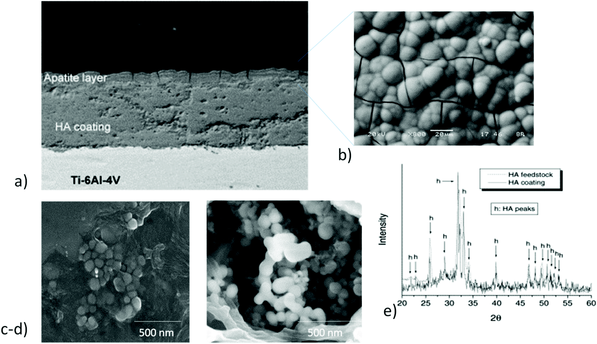 PDF) Bioactivity Enhancement of Plasma-Sprayed Hydroxyapatite Coatings  through Non-Contact Corona Electrical Charging