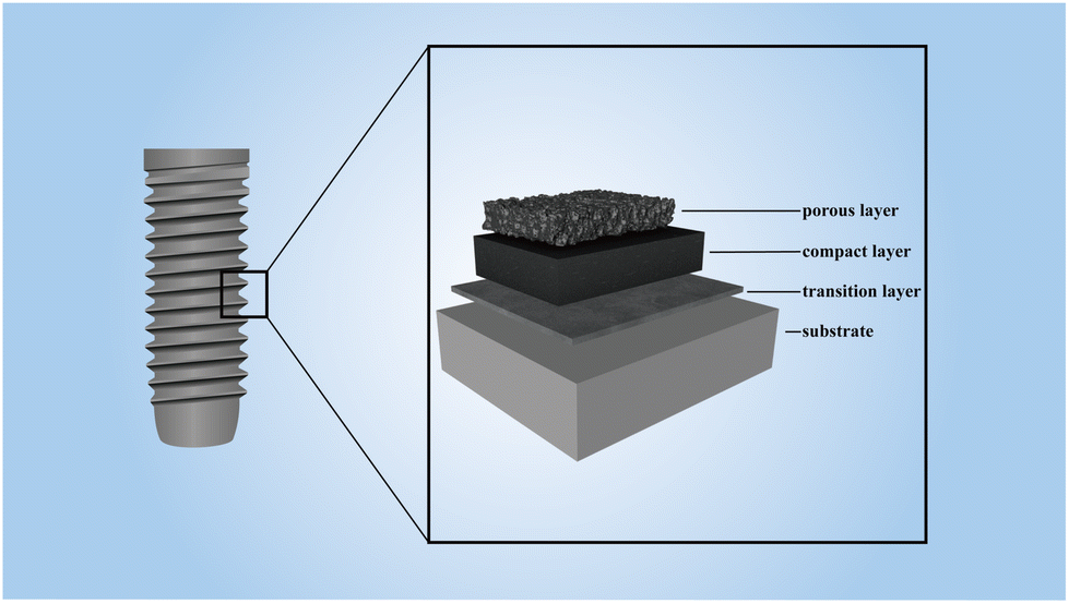 Incorporation of inorganic elements onto titanium-based implant 