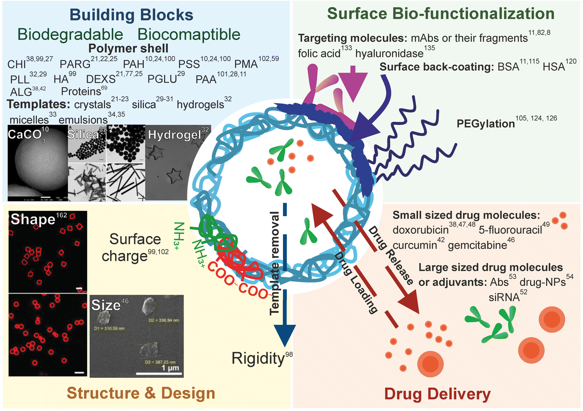 Structure–function relationships in polymeric multilayer capsules