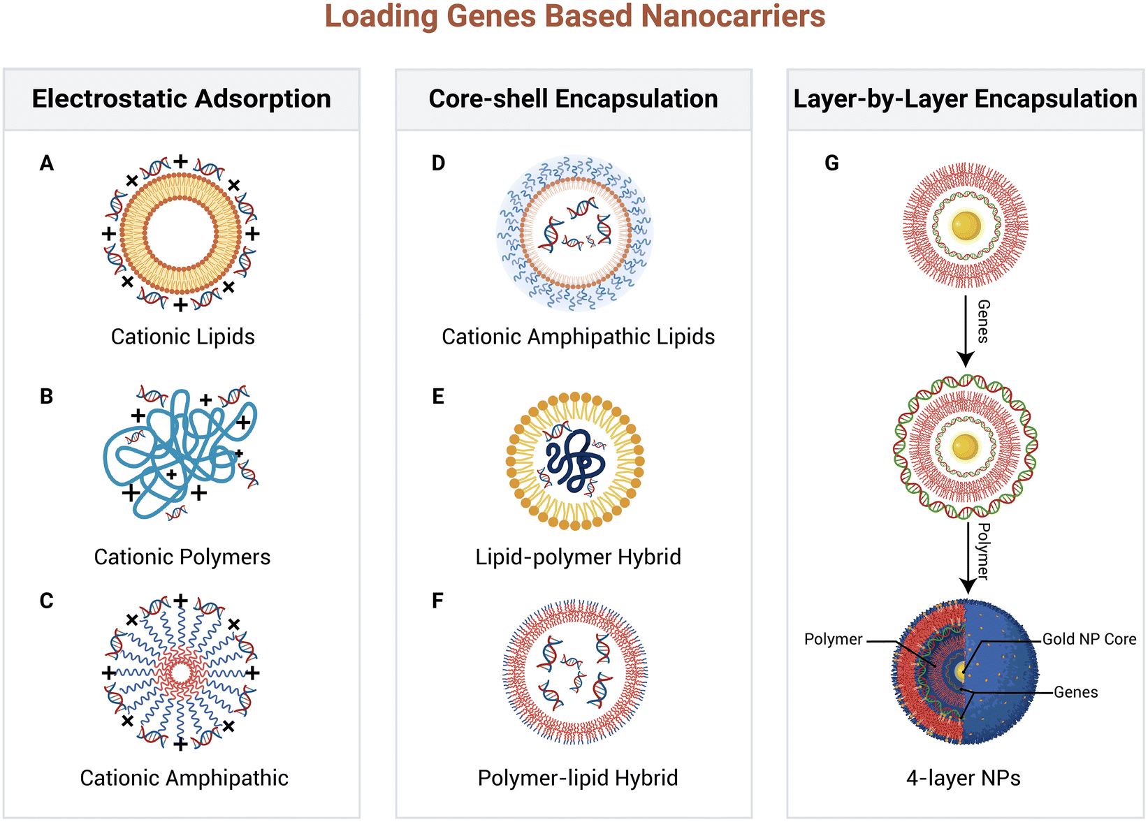 Tailoring carbon nanomaterials - The University of Sydney Nano Institute