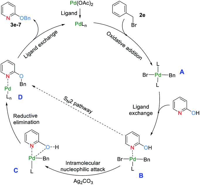 Coordination effect enabled palladium-catalyzed regioselective O  -alkylation of 2-pyridones - Chemical Communications (RSC Publishing)  DOI:10.1039/D1CC06110K