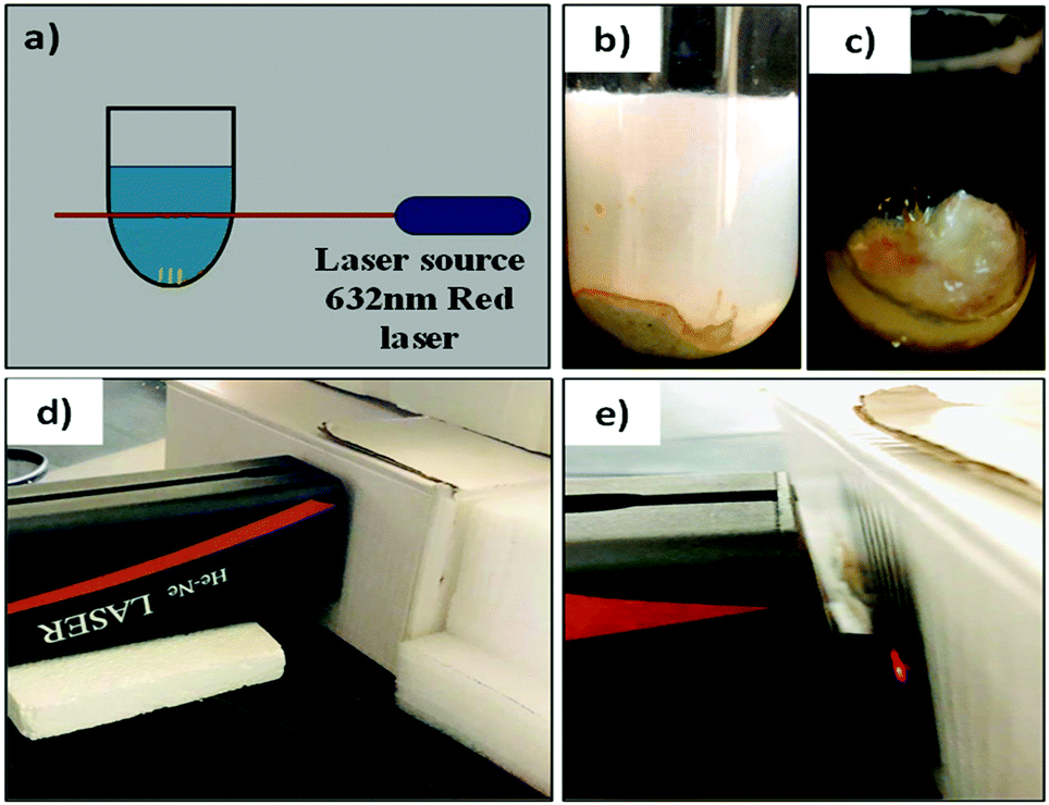 ミルク  Dark-induced vertical growth of chemobrionic architectures