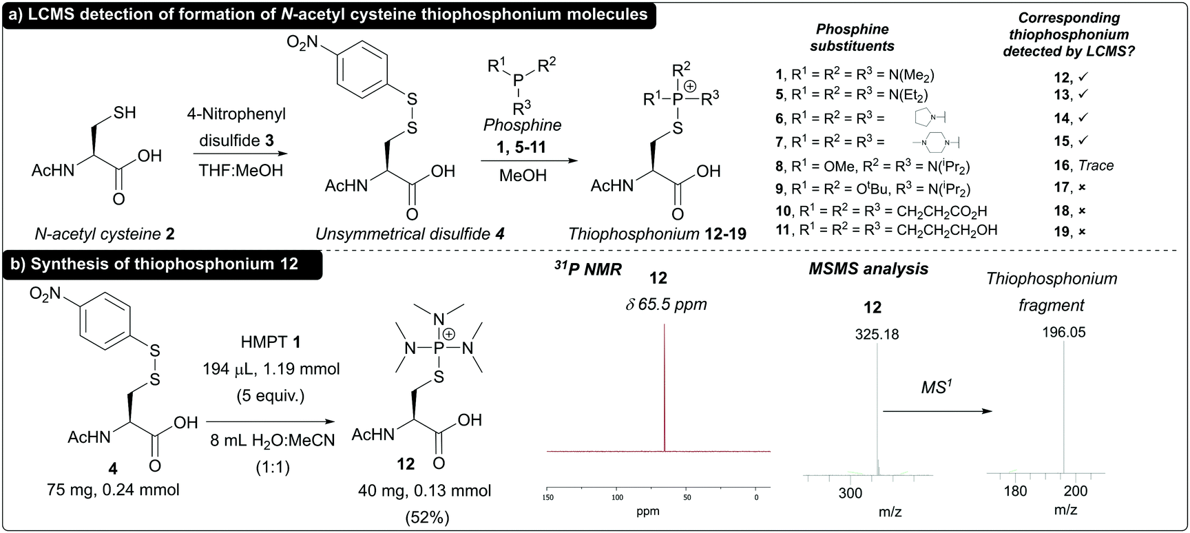 Unearthing the unique stability of thiophosphonium-C-terminal