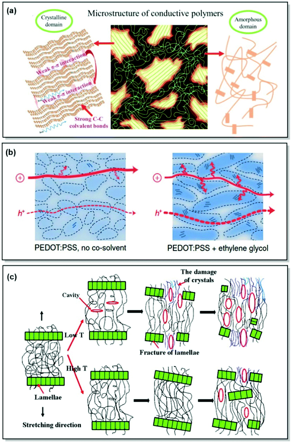 Controlling morphology and microstructure of conjugated polymers