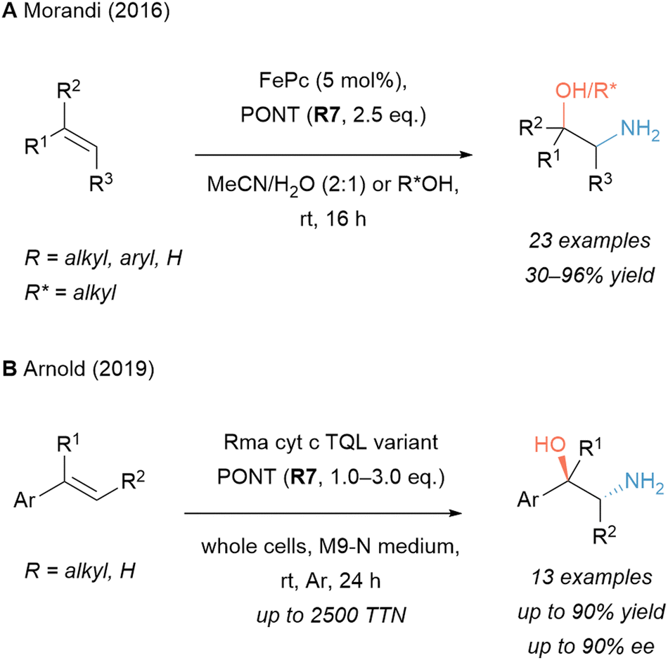 The advent of electrophilic hydroxylamine-derived reagents for the 