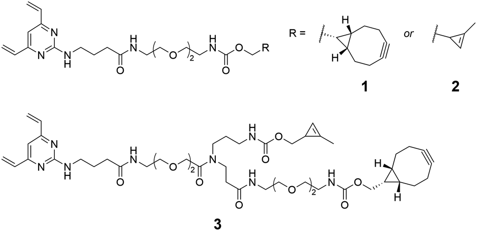 Antibody dual-functionalisation enabled through a modular divinylpyrimidine  disulfide rebridging strategy - Chemical Communications (RSC Publishing)  DOI:10.1039/D2CC02515A