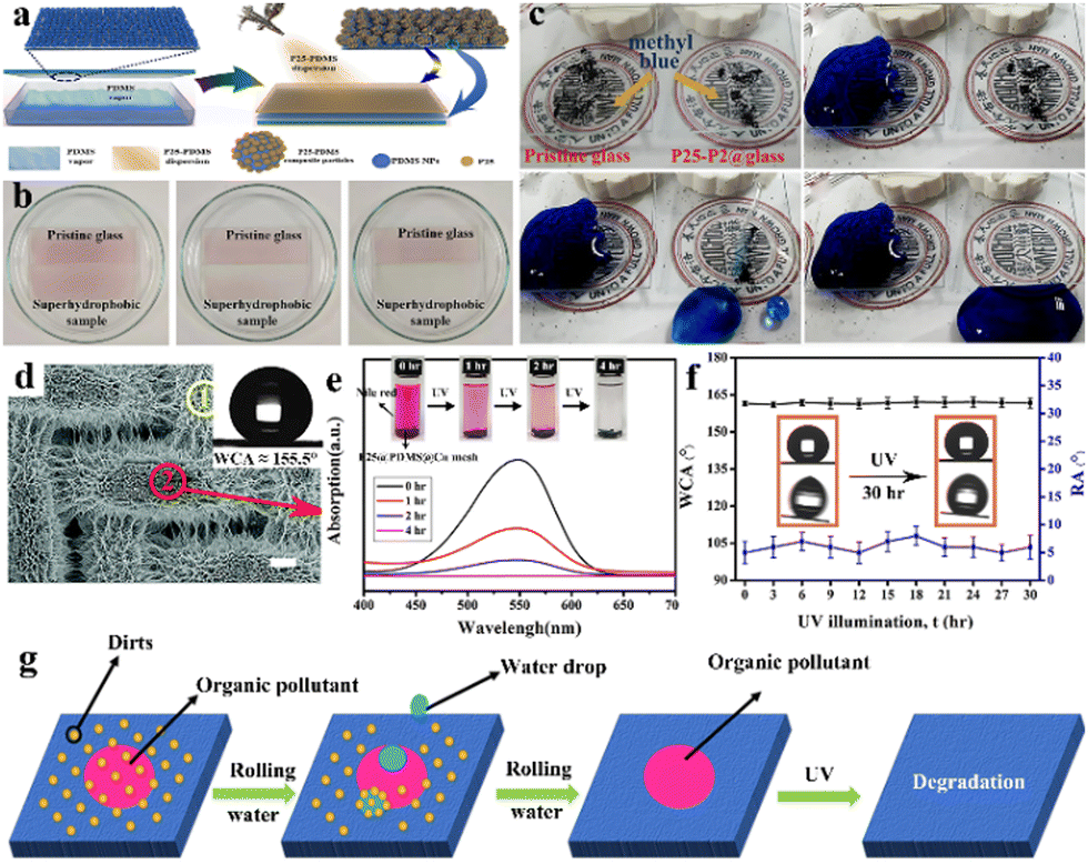 Research progress on eco-friendly superhydrophobic materials in 