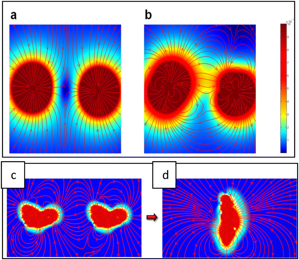 Recent advancements in understanding the self-assembly of
