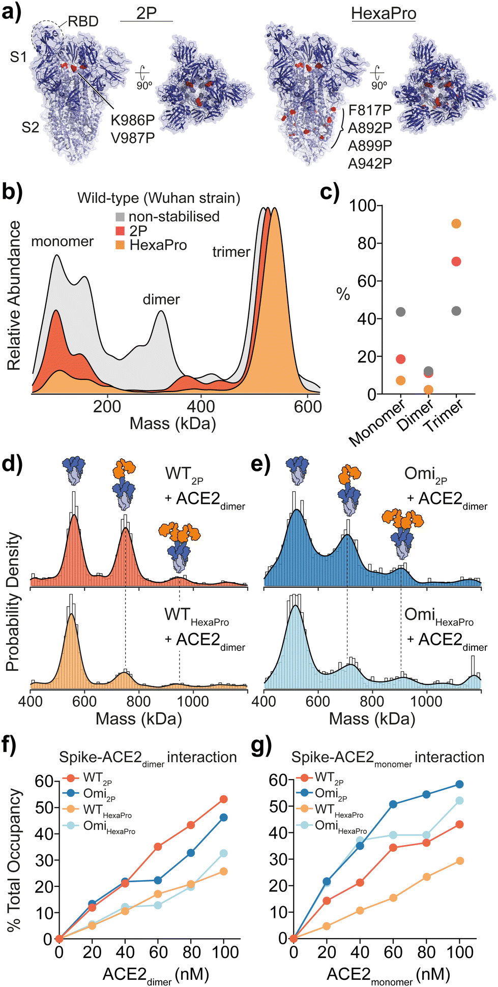 Mass photometry reveals SARS-CoV-2 spike stabilisation to impede ACE2  binding through altered conformational dynamics - Chemical Communications  (RSC Publishing) DOI:10.1039D2CC04711J