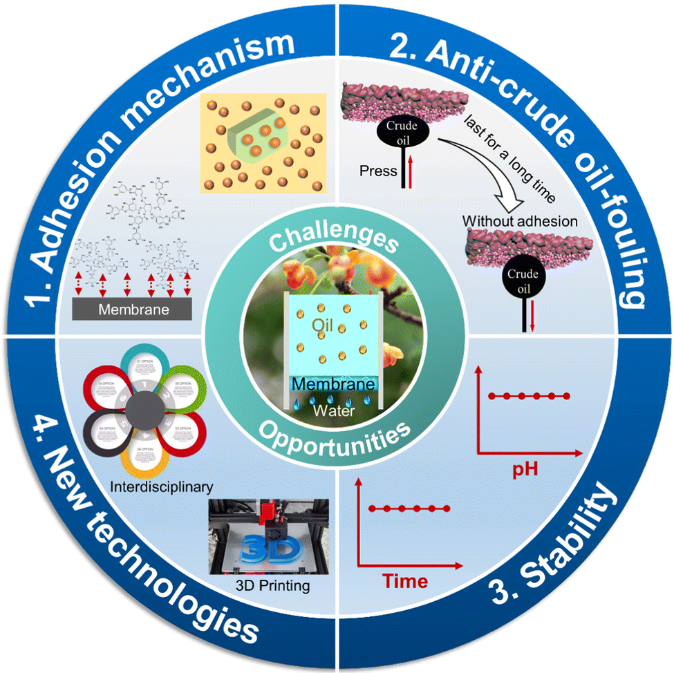 Tannic acid-based functional coating: surface engineering of 