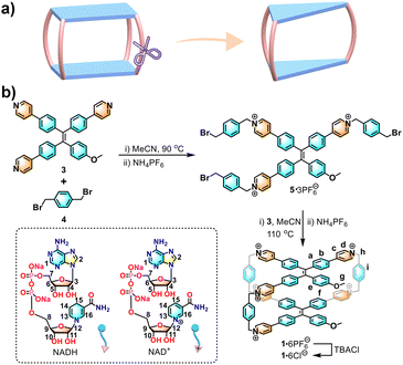 image file: d2cc05153b-s1.tif