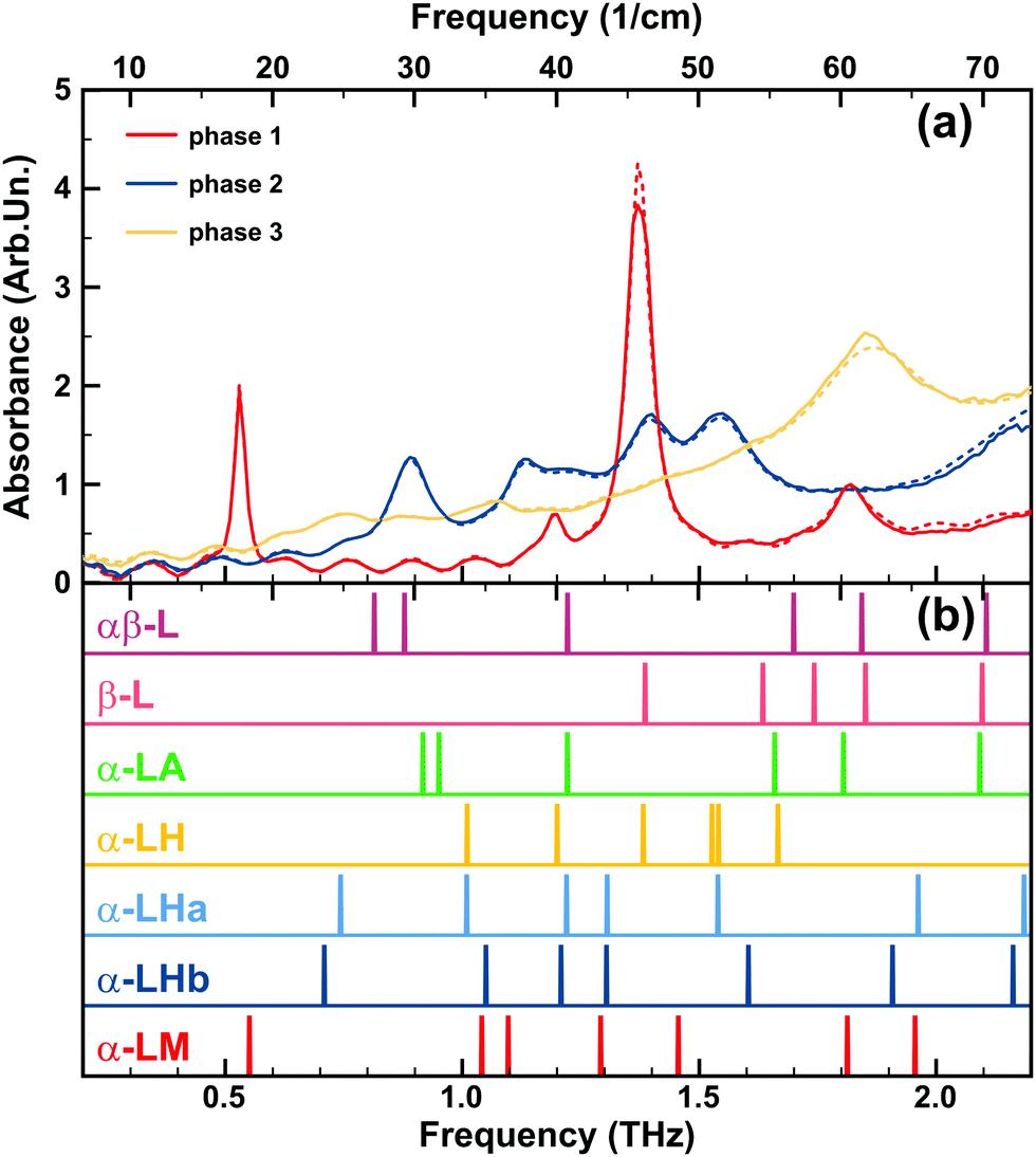 On the influence of water on THz vibrational spectral