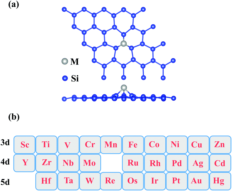 Single-atom catalyst of TM@D-silicene—an effective way to
