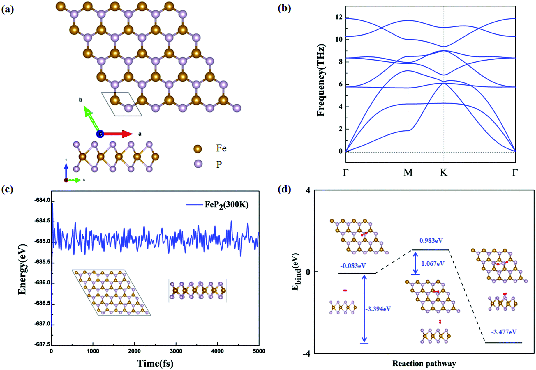 FeP 2 monolayer: isoelectronic analogue of MoS 2 with excellent 