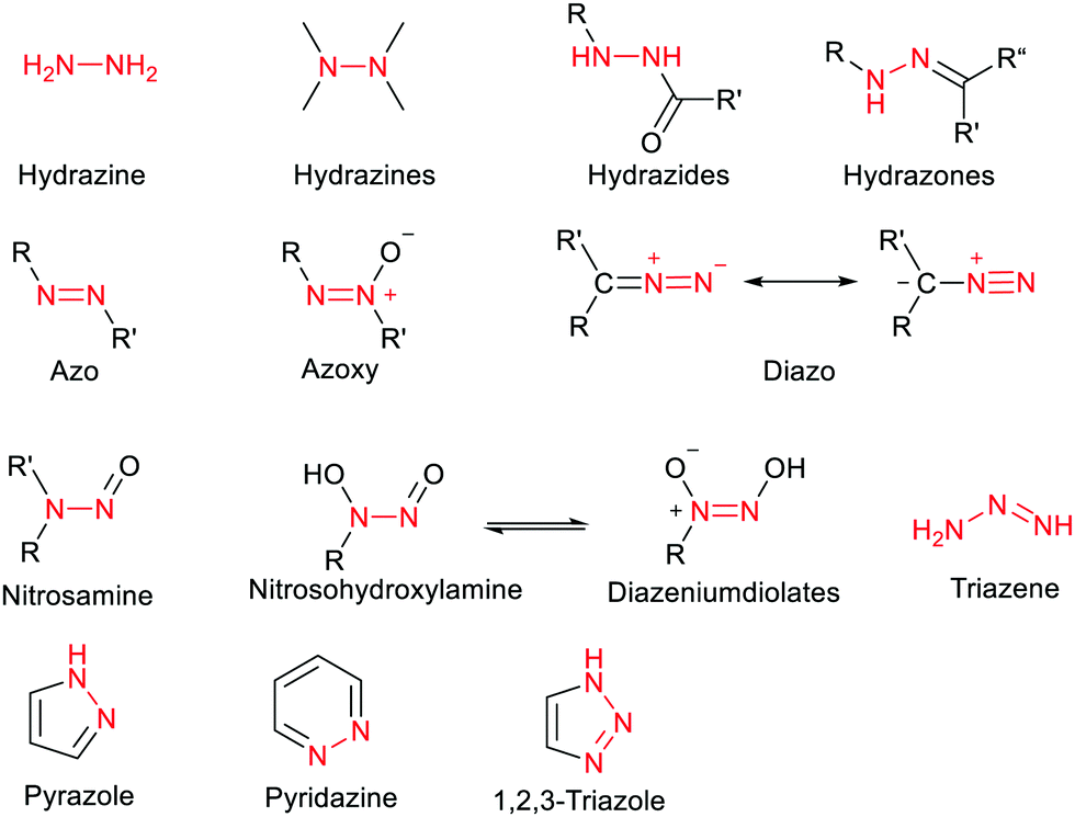 Synthetic and biosynthetic routes to nitrogen–nitrogen bonds 