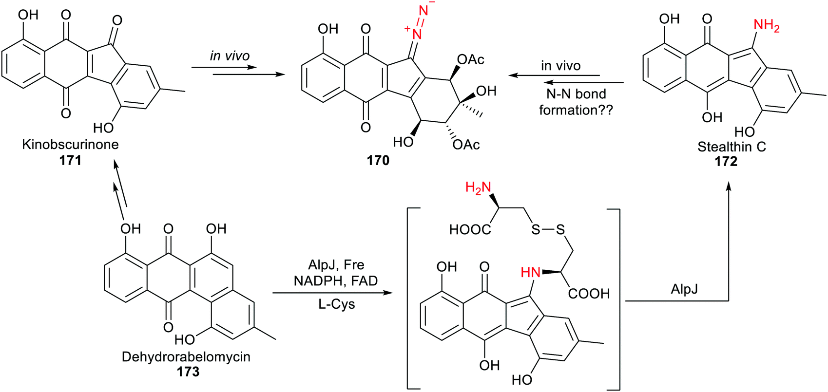 Synthetic and biosynthetic routes to nitrogen–nitrogen bonds